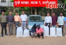 ३० लाखांच्या गांज्यासह दोघांना अटक