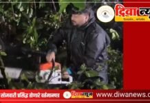 पडलेली झाडे हटविण्यासाठी नगरसेवक अभिजीत पवार मध्यरात्री रस्त्यावर